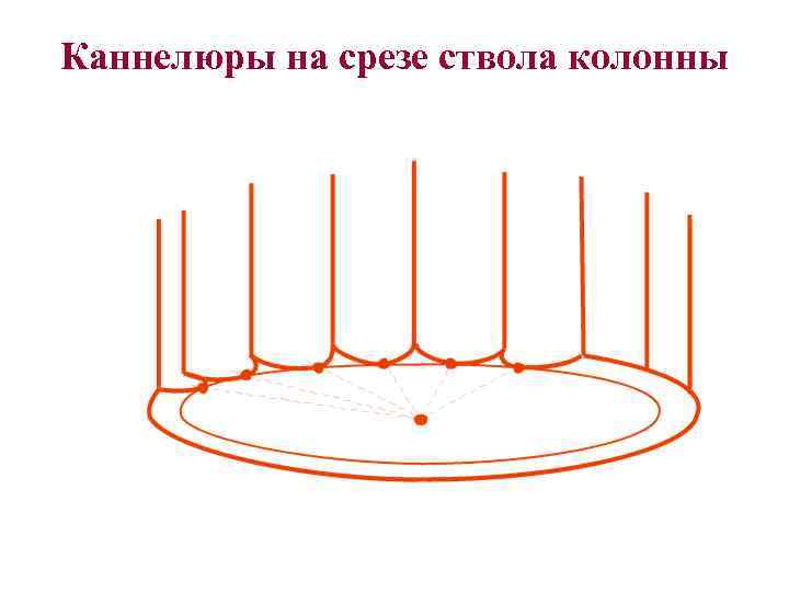 Каннелюры на срезе ствола колонны 