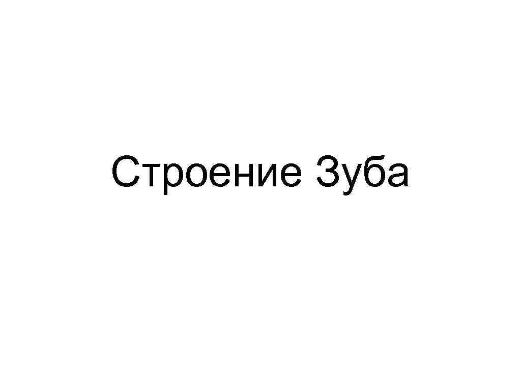 Строение Зуба 