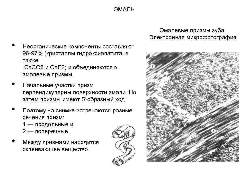 Муаровый рисунок поверхностного слоя эмали обусловлен