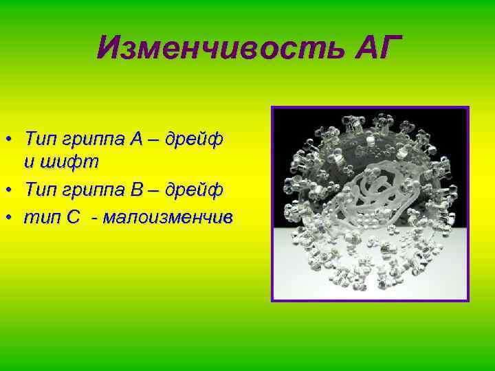 Изменчивость АГ • Тип гриппа А – дрейф и шифт • Тип гриппа В