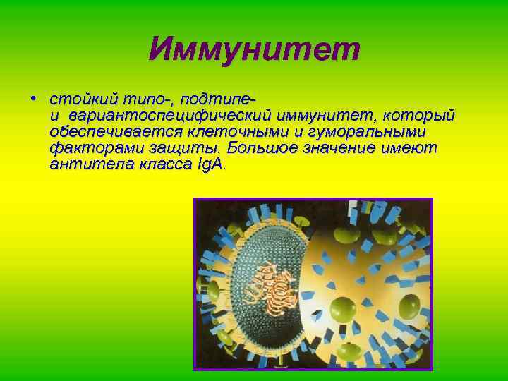 Иммунитет • стойкий типо-, подтипеи вариантоспецифический иммунитет, который обеспечивается клеточными и гуморальными факторами защиты.