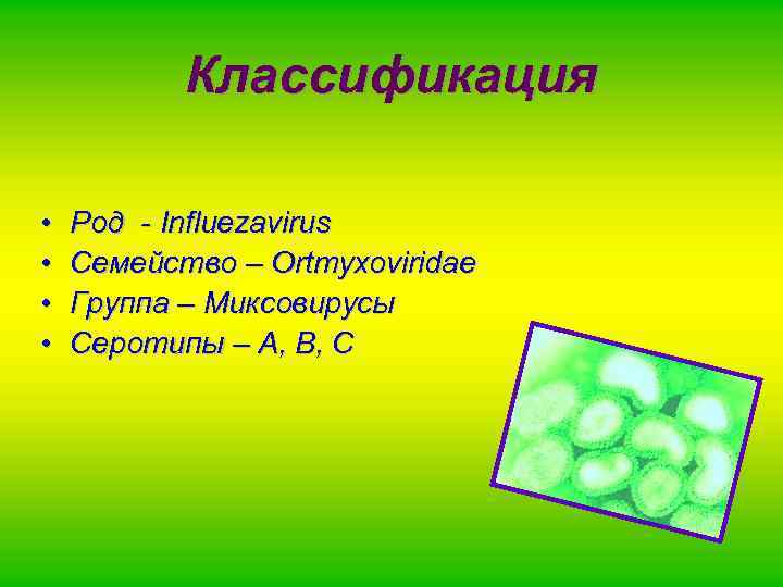 Классификация • • Род - Influezavirus Семейство – Ortmyxoviridae Группа – Миксовирусы Серотипы –