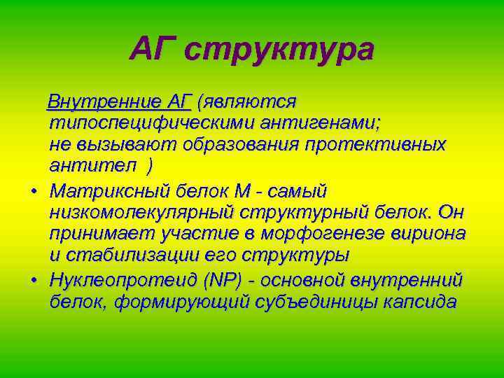 АГ структура Внутренние АГ (являются типоспецифическими антигенами; не вызывают образования протективных антител ) •