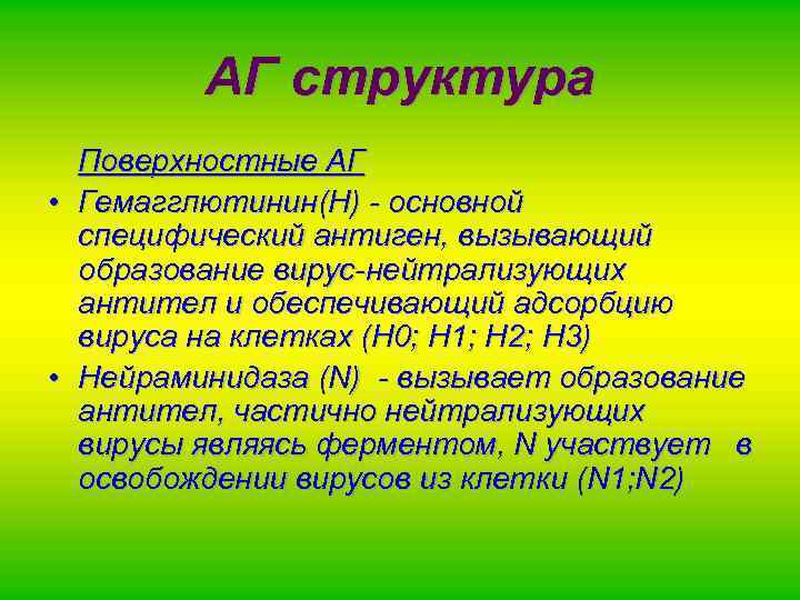 АГ структура Поверхностные АГ • Гемагглютинин(H) - основной специфический антиген, вызывающий образование вирус-нейтрализующих антител