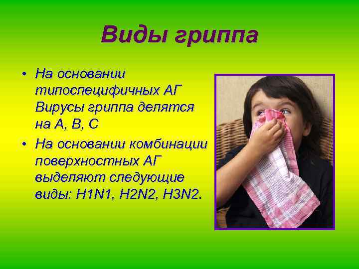 Виды гриппа • На основании типоспецифичных АГ Вирусы гриппа делятся на А, В, С