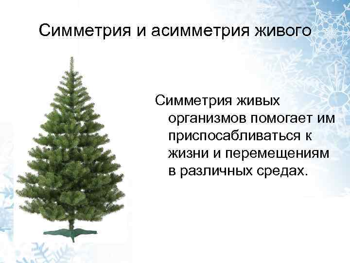 Симметрия и асимметрия живого Симметрия живых организмов помогает им приспосабливаться к жизни и перемещениям