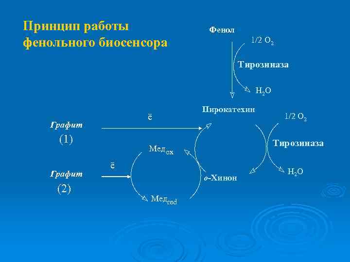 Принцип работы фенольного биосенсора Фенол 1/2 O 2 Тирозиназа H 2 O ē Графит