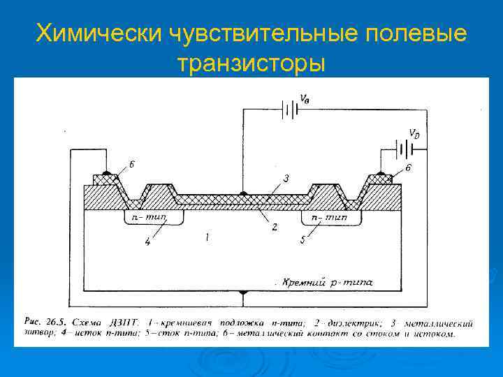 Химически чувствительные полевые транзисторы 