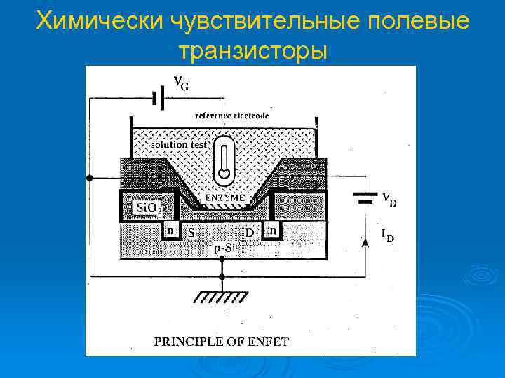 Химически чувствительные полевые транзисторы 