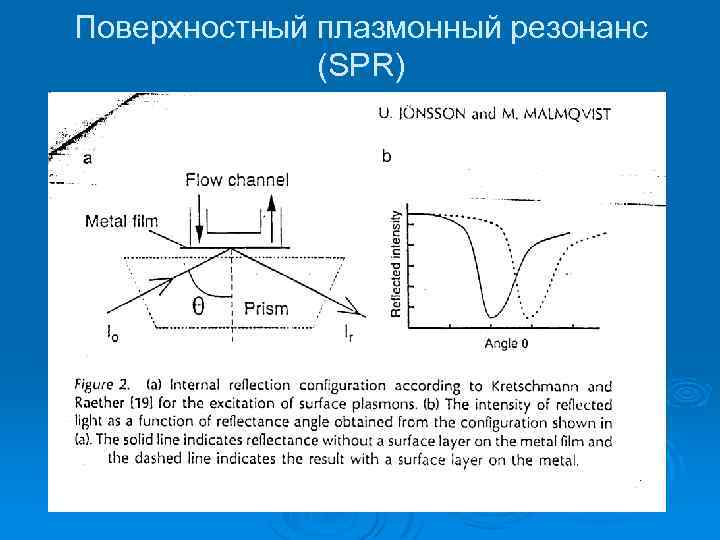 Поверхностный плазмонный резонанс (SPR) 