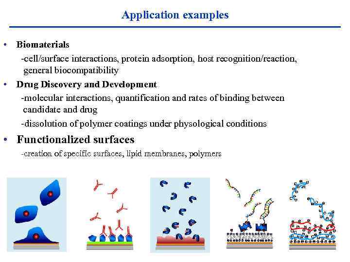 Application examples • Biomaterials -cell/surface interactions, protein adsorption, host recognition/reaction, general biocompatibility • Drug