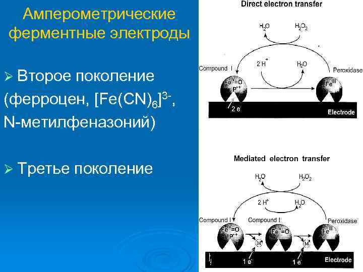 Амперометрические ферментные электроды Ø Второе поколение (ферроцен, [Fe(CN)6]3 -, N-метилфеназоний) Ø Третье поколение 