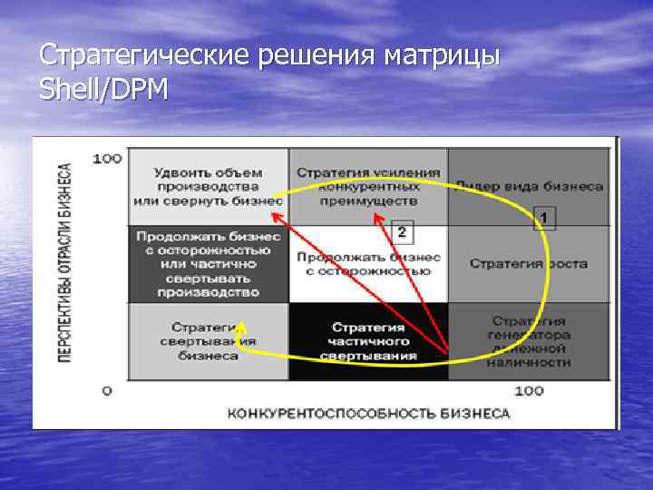 Стратегические решения матрицы Shell/DPM 