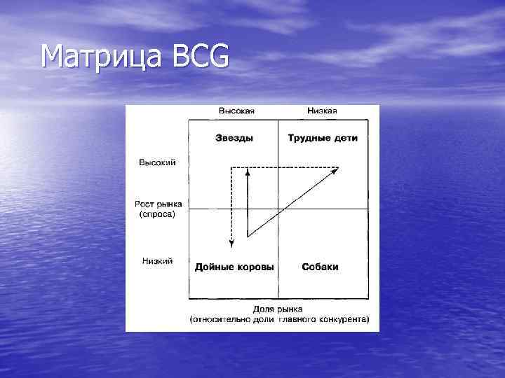 Матрица BCG 