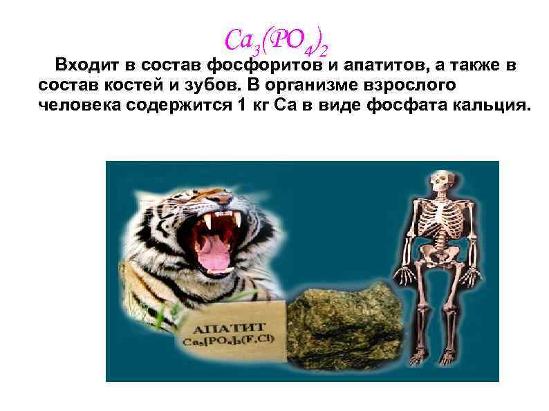 Ca 3(PO 4)2 Входит в состав фосфоритов и апатитов, а также в состав костей