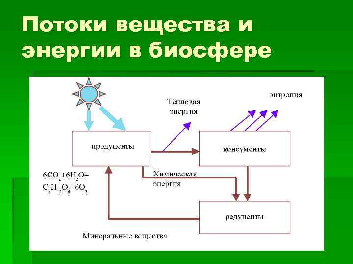 Потоки вещества и энергии в биосфере 