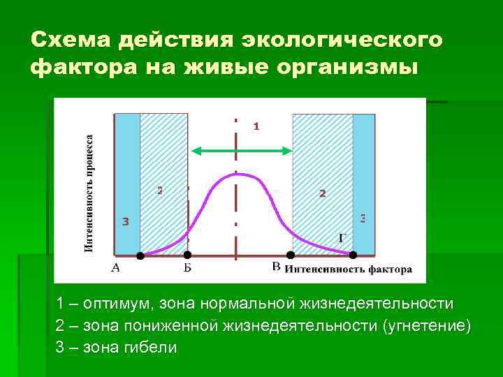 Схема действия экологического фактора