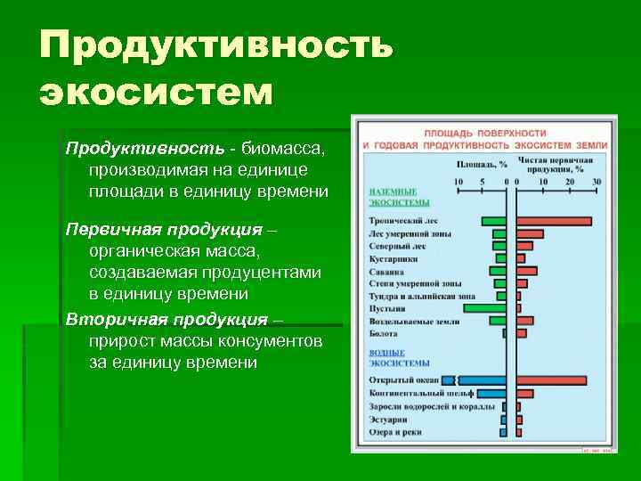 Продуктивность экосистем Продуктивность - биомасса, производимая на единице площади в единицу времени Первичная продукция