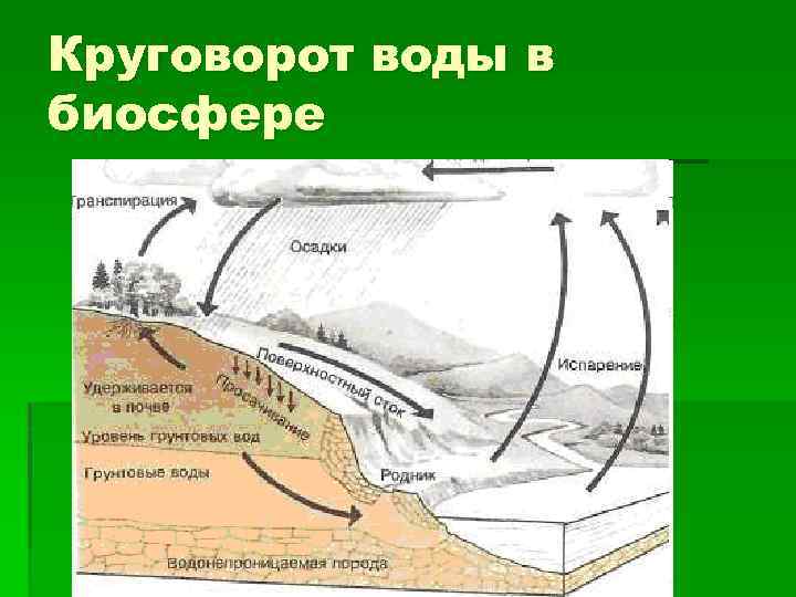 Круговорот воды в биосфере 