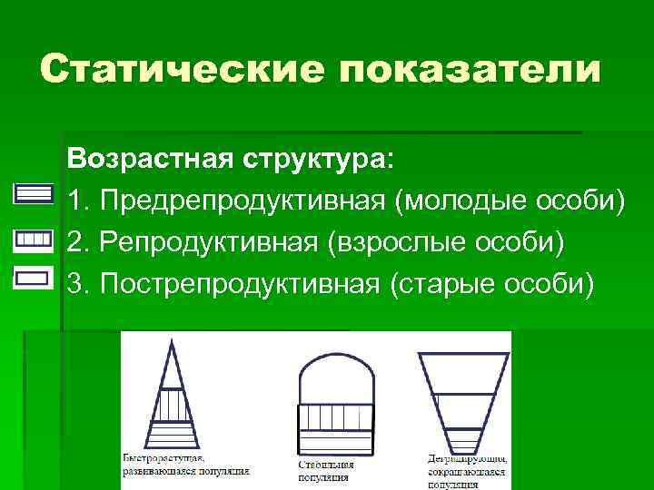 Статические показатели Возрастная структура: 1. Предрепродуктивная (молодые особи) 2. Репродуктивная (взрослые особи) 3. Пострепродуктивная