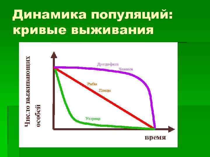 Динамика популяций: кривые выживания Дроздофила Человек Рыбы Птицы Устрица 