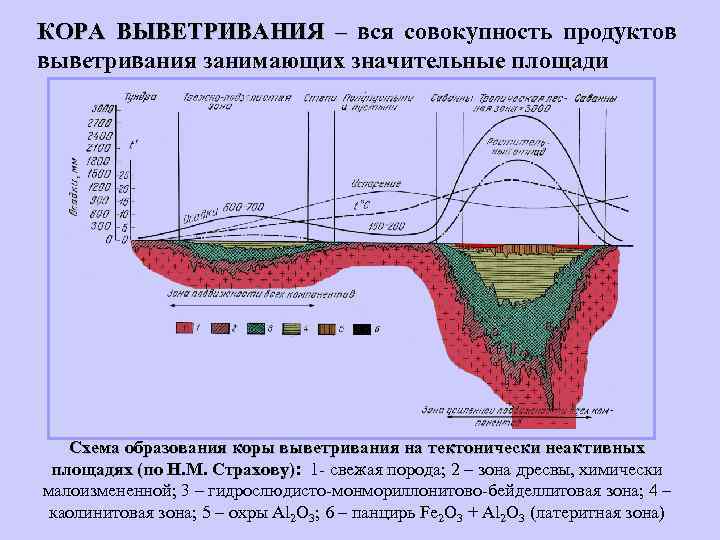 КОРА ВЫВЕТРИВАНИЯ – вся совокупность продуктов выветривания занимающих значительные площади Схема образования коры выветривания