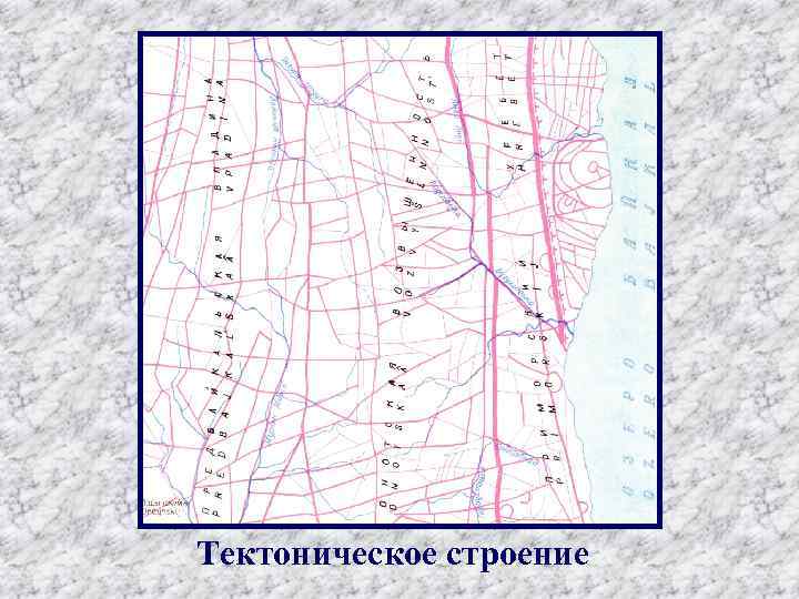 Тектоническое строение 