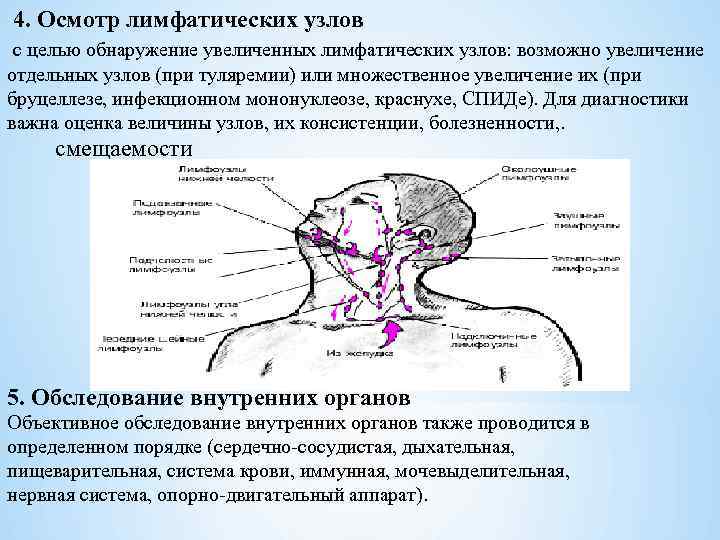  4. Осмотр лимфатических узлов с целью обнаружение увеличенных лимфатических узлов: возможно увеличение отдельных