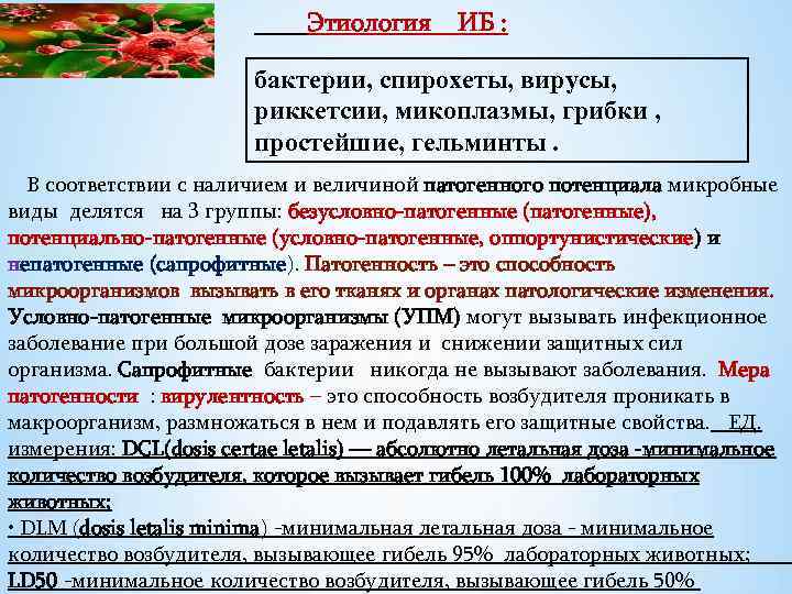  Этиология ИБ : бактерии, спирохеты, вирусы, риккетсии, микоплазмы, грибки , простейшие, гельминты. В