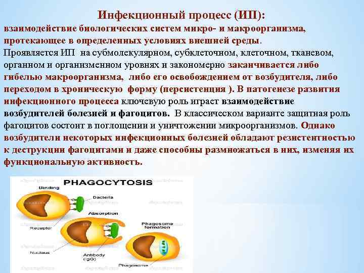 Инфекционный процесс (ИП): взаимодействие биологических систем микро и макроорганизма, протекающее в определенных условиях