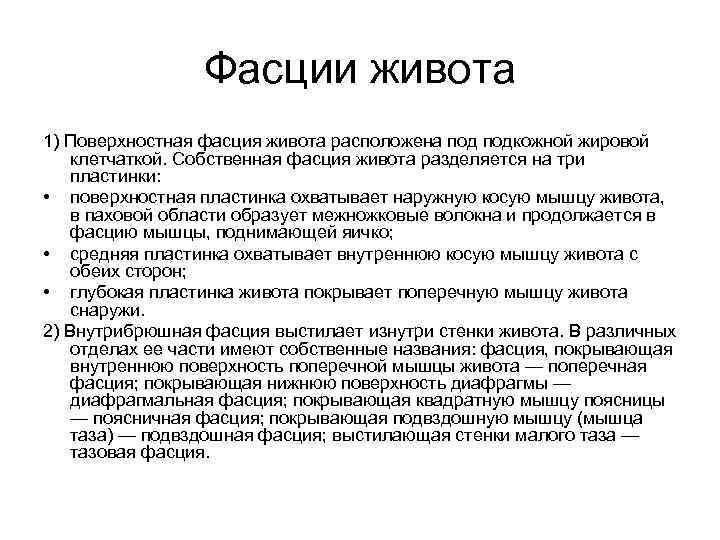 Фасции живота 1) Поверхностная фасция живота расположена подкожной жировой клетчаткой. Собственная фасция живота разделяется