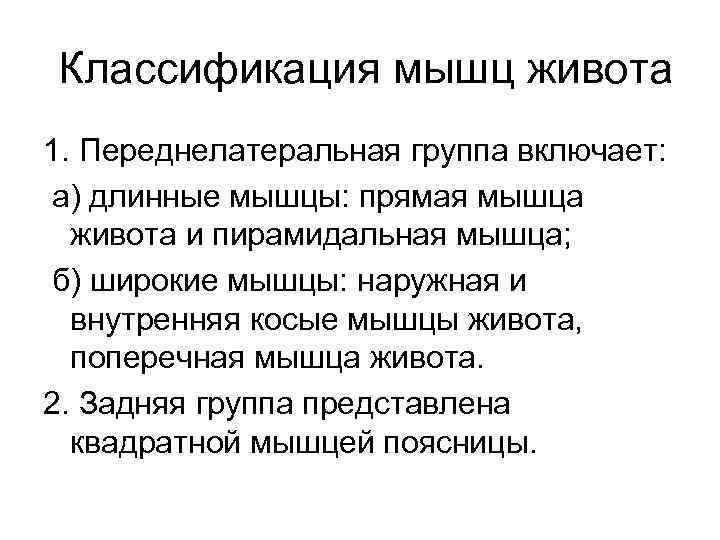 Классификация мышц живота 1. Переднелатеральная группа включает: а) длинные мышцы: прямая мышца живота и