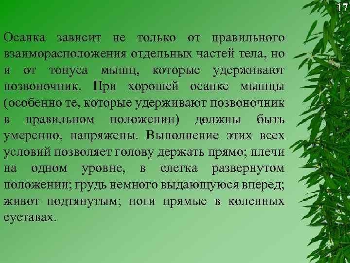 17 Осанка зависит не только от правильного взаиморасположения отдельных частей тела, но и от