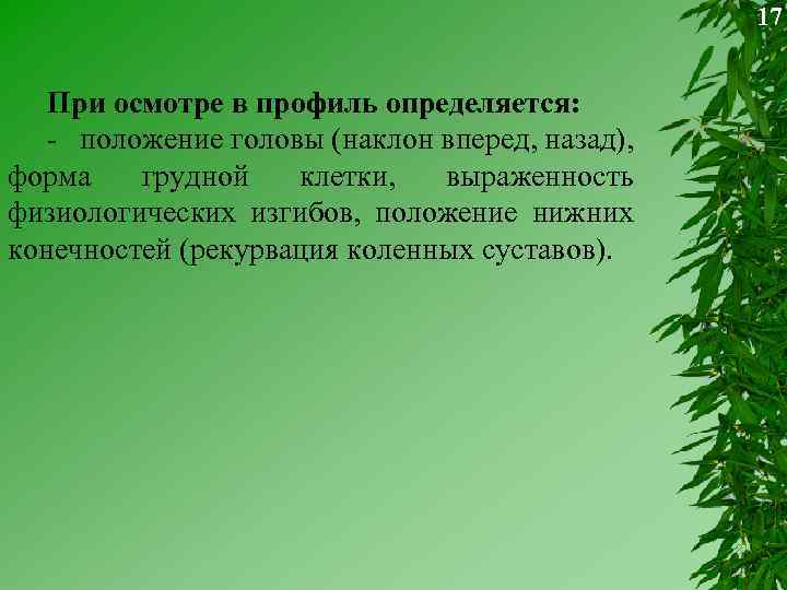 17 При осмотре в профиль определяется: - положение головы (наклон вперед, назад), форма грудной
