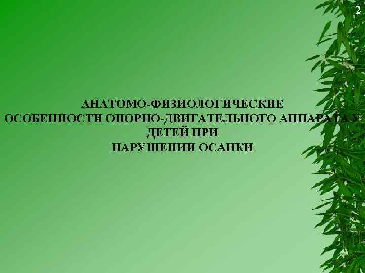 2 АНАТОМО-ФИЗИОЛОГИЧЕСКИЕ ОСОБЕННОСТИ ОПОРНО-ДВИГАТЕЛЬНОГО АППАРАТА У ДЕТЕЙ ПРИ НАРУШЕНИИ ОСАНКИ 