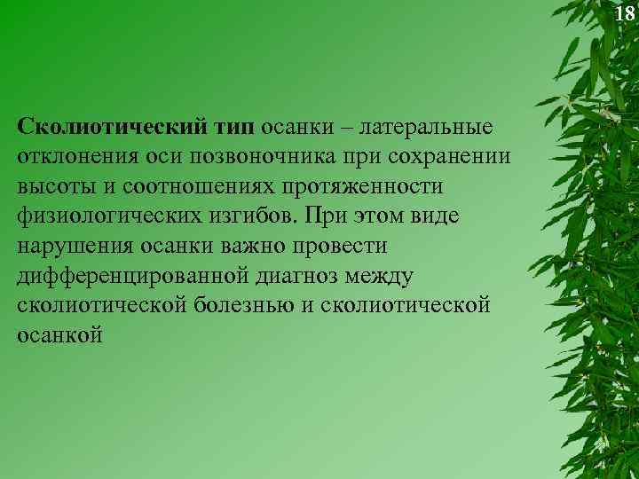18 Сколиотический тип осанки – латеральные отклонения оси позвоночника при сохранении высоты и соотношениях