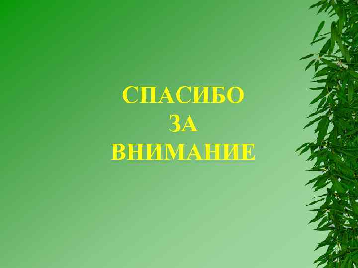 СПАСИБО ЗА ВНИМАНИЕ 