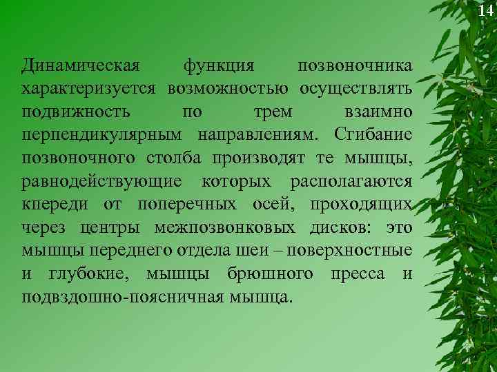 14 Динамическая функция позвоночника характеризуется возможностью осуществлять подвижность по трем взаимно перпендикулярным направлениям. Сгибание