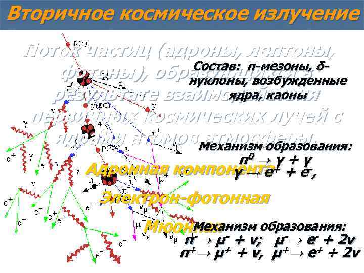 Вторичное космическое излучение Поток частиц (адроны, лептоны, Состав: π-мезоны, δфотоны), образующихся в нуклоны, возбужденные