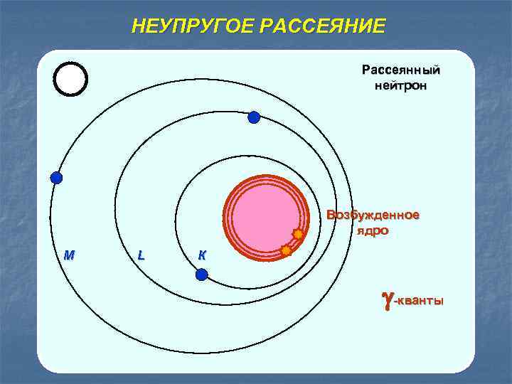 НЕУПРУГОЕ РАССЕЯНИЕ Рассеянный нейтрон Возбужденное ядро M L К -кванты 