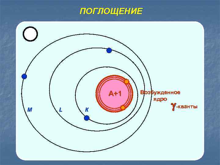 ПОГЛОЩЕНИЕ А+1 M L К Возбужденное ядро -кванты 