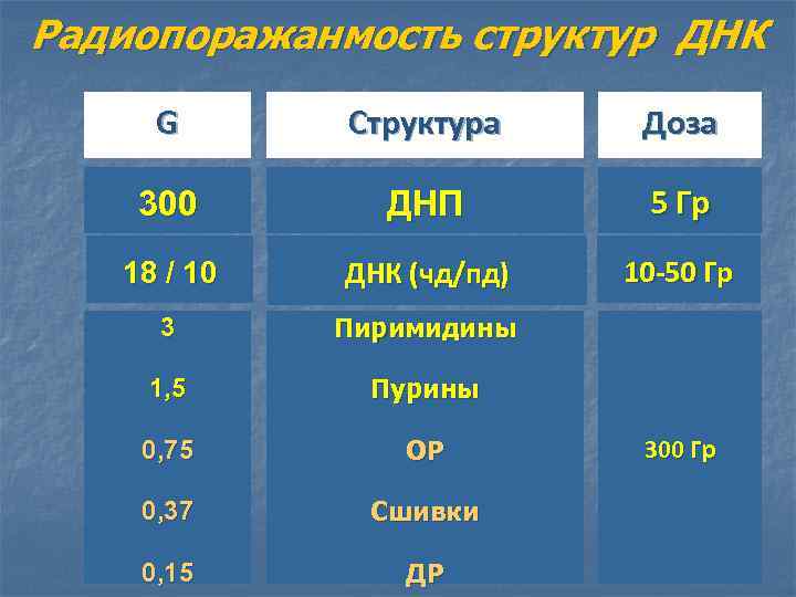 Радиопоражанмость структур ДНК G Структура Доза 300 ДНП 5 Гр 18 / 10 ДНК