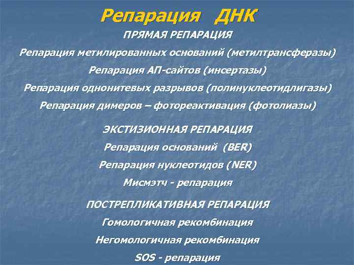 Репарация ДНК ПРЯМАЯ РЕПАРАЦИЯ Репарация метилированных оснований (метилтрансферазы) Репарация АП-сайтов (инсертазы) Репарация однонитевых разрывов