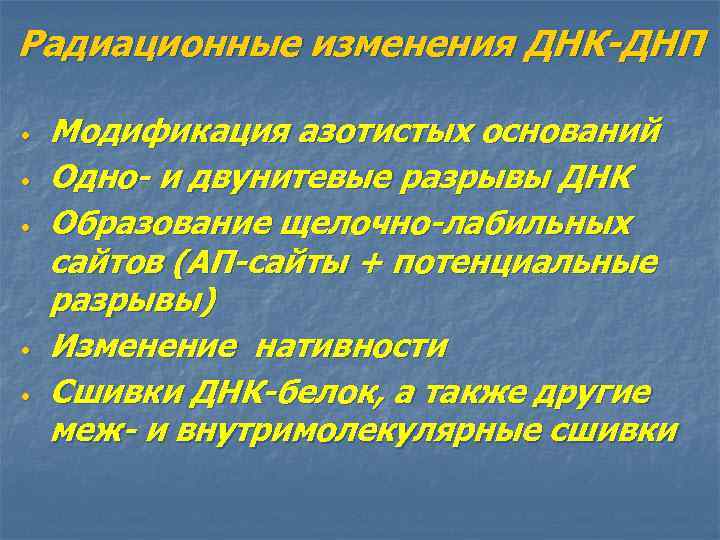 Радиационные изменения ДНК-ДНП • • • Модификация азотистых оснований Одно- и двунитевые разрывы ДНК