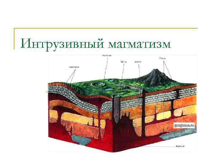 Интрузивный магматизм 