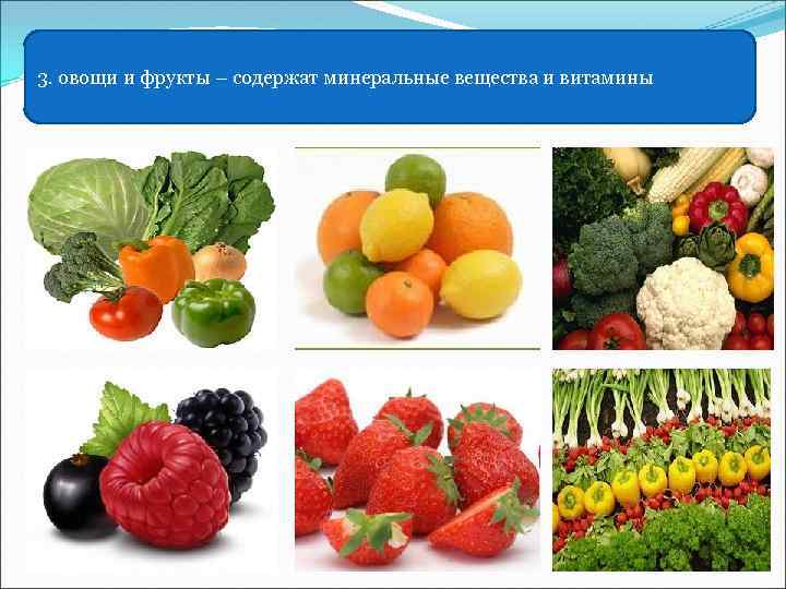 3. овощи и фрукты – содержат минеральные вещества и витамины 