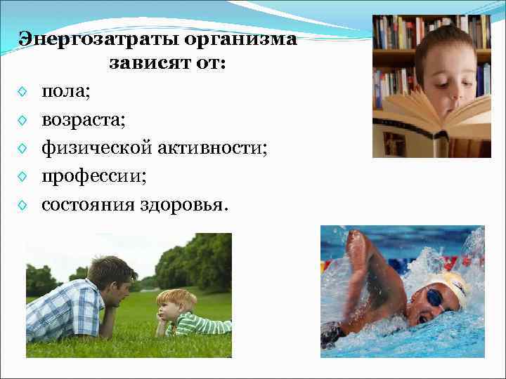 Энергозатраты организма зависят от: ◊ пола; ◊ возраста; ◊ физической активности; ◊ профессии; ◊