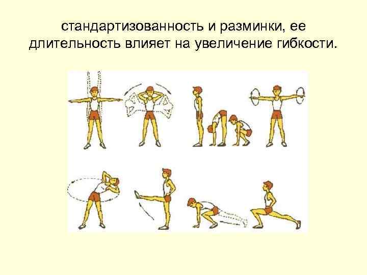 стандартизованность и разминки, ее длительность влияет на увеличение гибкости. 