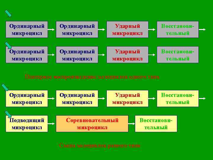 Ординарный микроцикл Ударный микроцикл Восстановительный Повторное воспроизведение мезоциклов одного типа Ординарный микроцикл Подводящий микроцикл