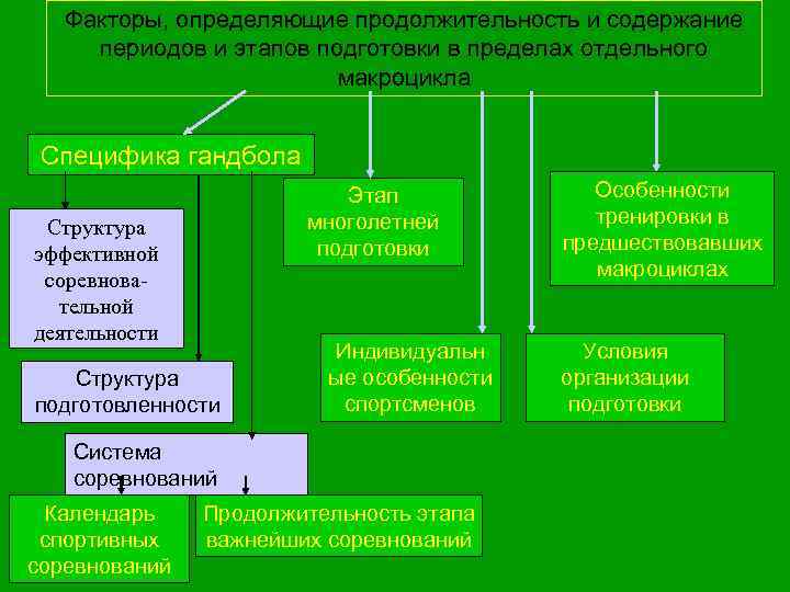 Факторы, определяющие продолжительность и содержание периодов и этапов подготовки в пределах отдельного макроцикла Специфика